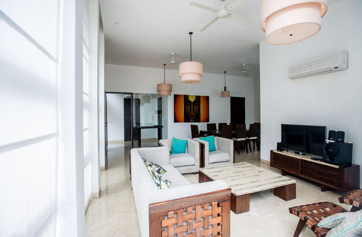 Bright living space with modern sofas and natural light