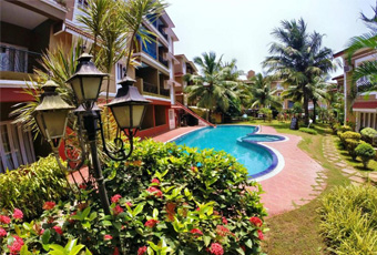 Lush garden with a pool and palm trees