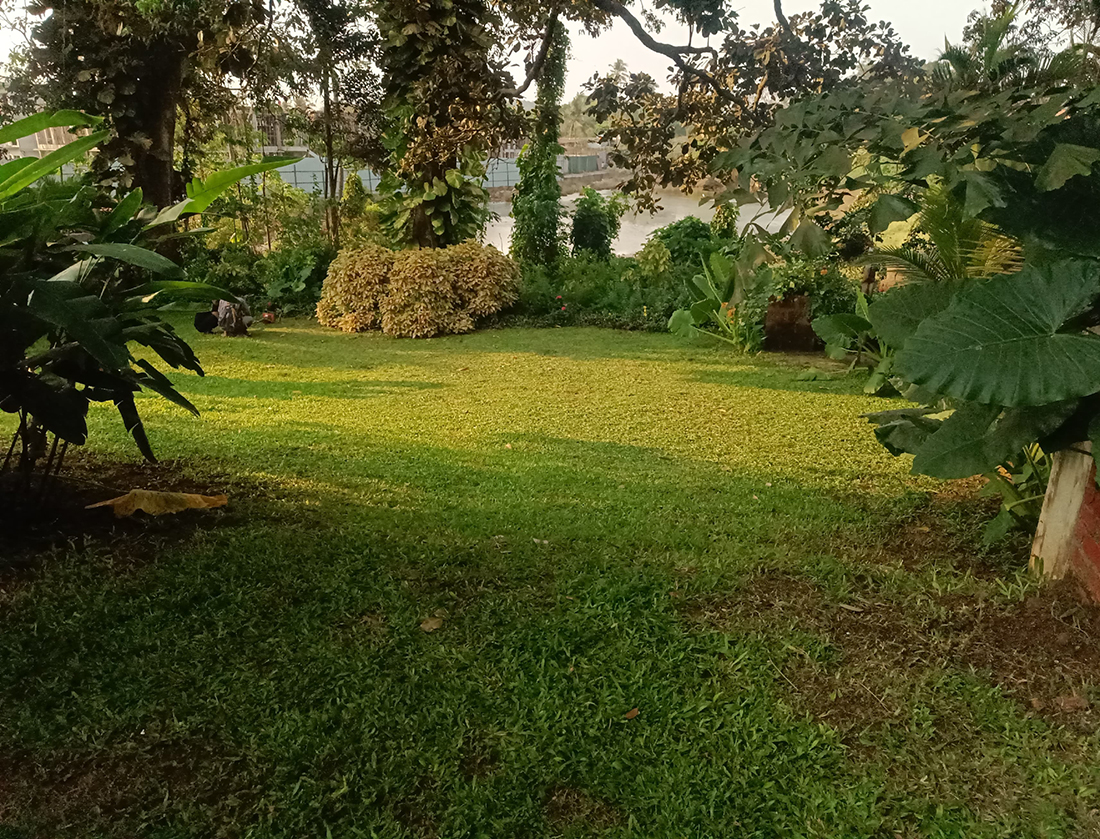 Green garden with grass, trees, and river in the background.