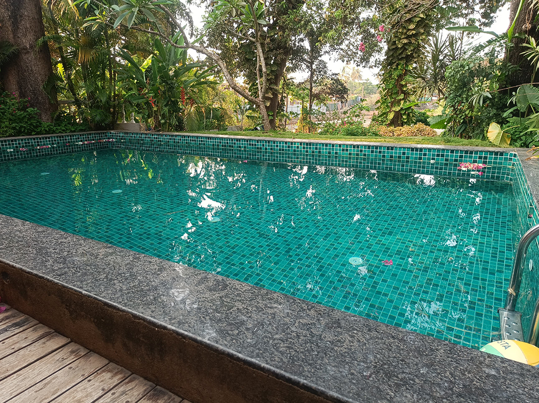 Private swimming pool with green tiles and garden view.