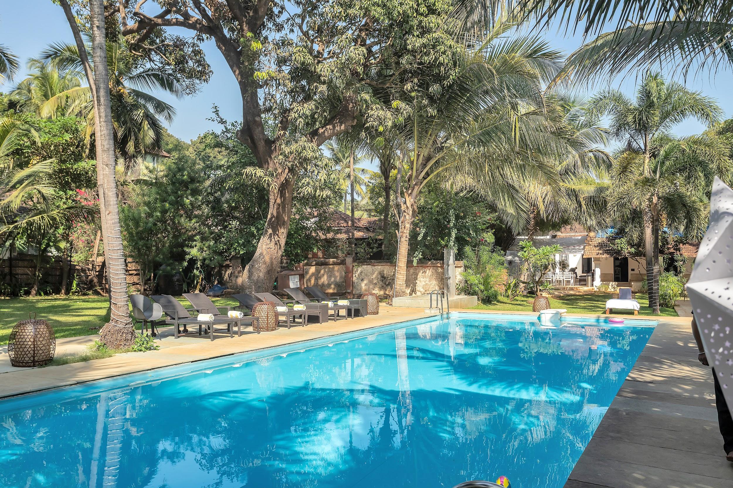 Sunny view of the large swimming pool with surrounding greenery and sun loungers